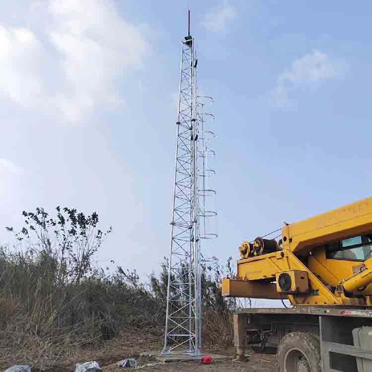 湿地公园气象观测设备塔架安装