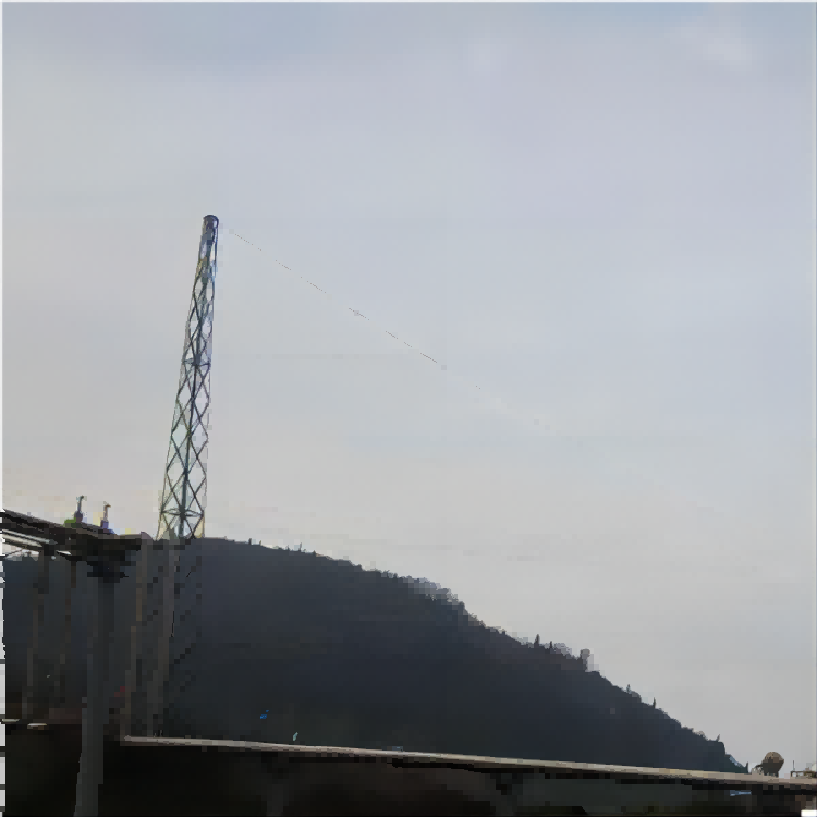 25米GFW2-3拉线双塔避雷塔