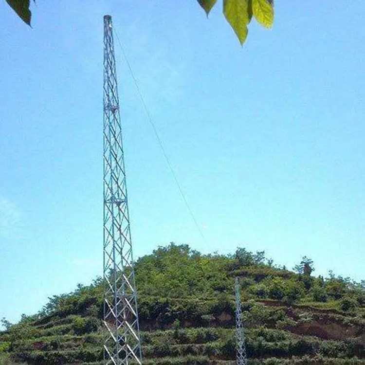 GFW2-6钢结构避雷带塔 30米角钢避雷线塔 造纸厂避雷针塔